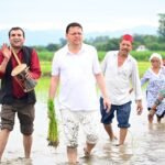 सीएम धामी ने खटीमा में की धान रोपाई, किसानों के श्रम को किया नमन